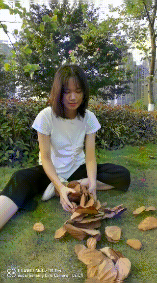 年度旗舰手机：华为Mate30 Pro评测