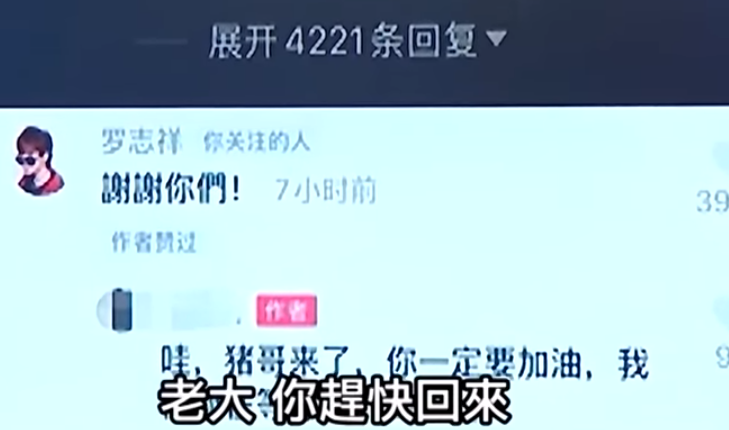 台媒曝罗志祥酝酿复出计划：树立孝子形象，用母亲来洗白自己