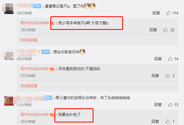 周扬青抱狗狗拍美照火辣身材抢镜，无P图颜值耐打，分手后依旧自信