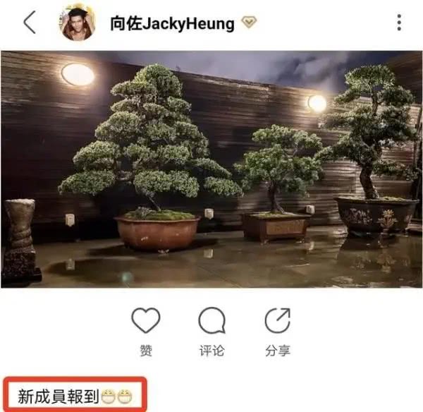 郭碧婷终于领证进入豪门：与向佐登记入婚，已经获得向太认可