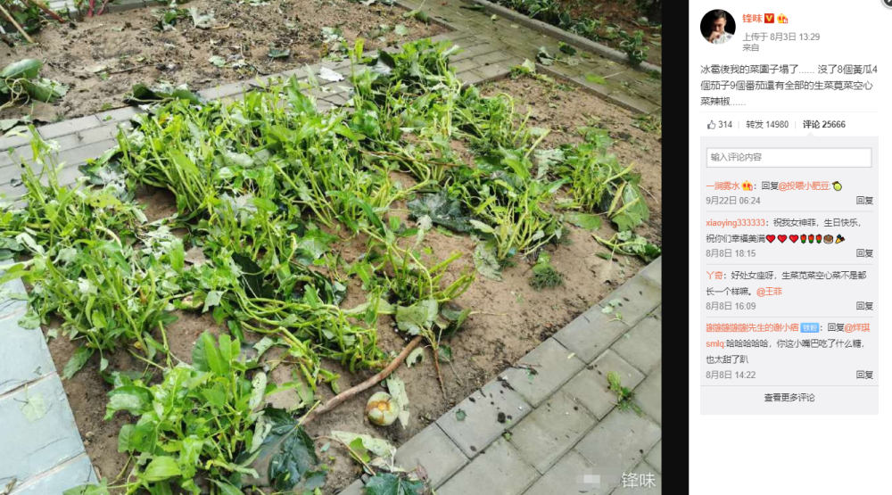 王菲去前夫李亚鹏家被拍，传出分手消息，谢霆锋晒情侣戒指否认