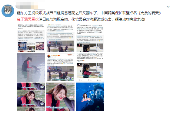 又翻车！吴宣仪金子涵涂口红亲吻海豚遭点名批评