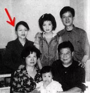 尔冬升暗讽杨志刚是关系户？娱圈的太太团和子女团，超乎你的想象